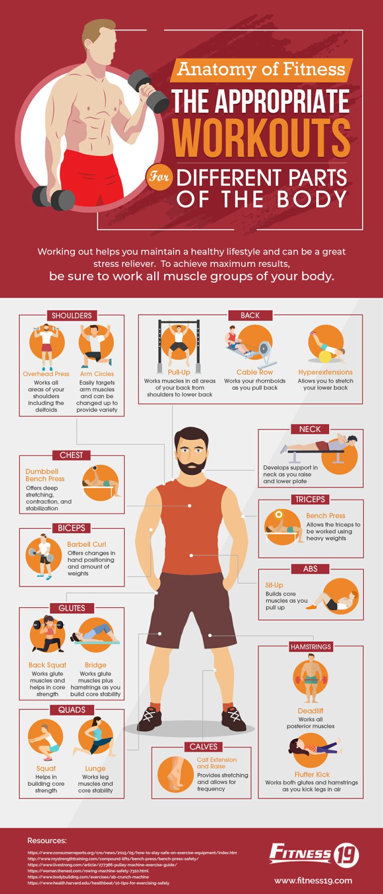 Anatomy-of-Fitness-The-Appropriate-Workouts