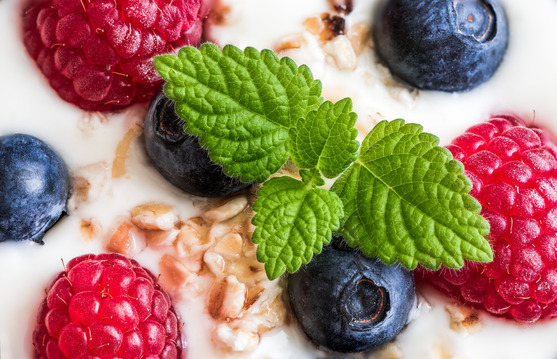 photodune-12180923-yogurt-with-fresh-berries-oatmeal-and-melissa-xs
