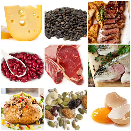photodune-3976311-food-sources-of-protein-xs